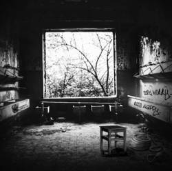 Like Desolate Like True : Don't Worry...Die Happy...